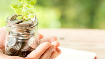 Aara--Home-Page-Our-Offering-Green-Consultation